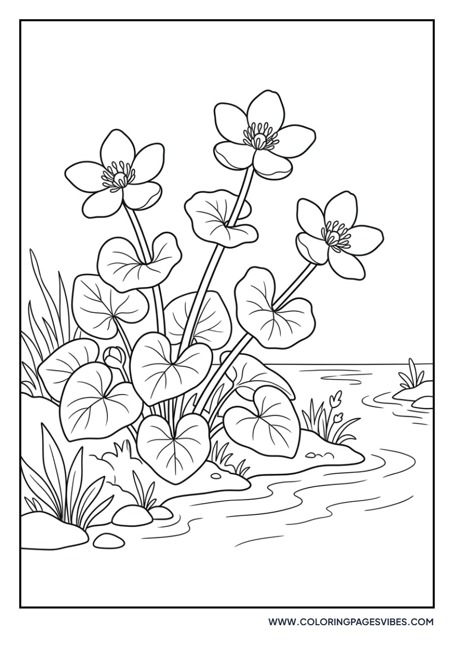 Marsh Marigold