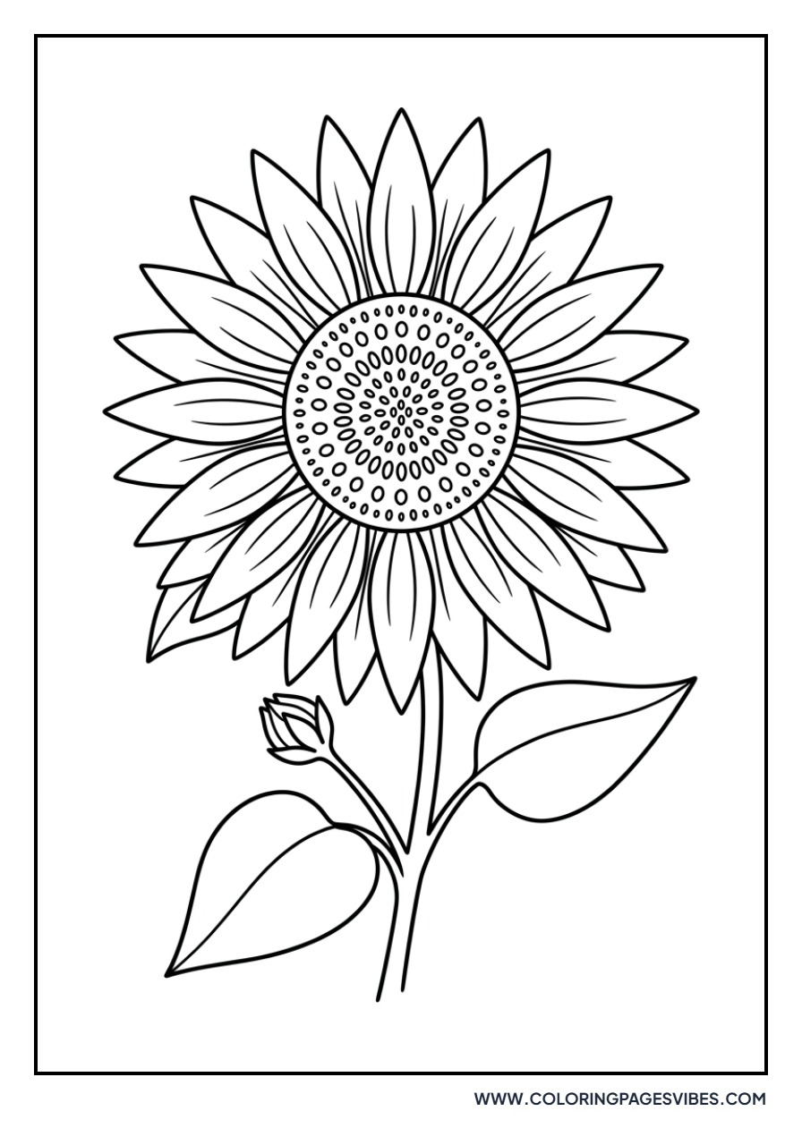 Prairie Sunflower