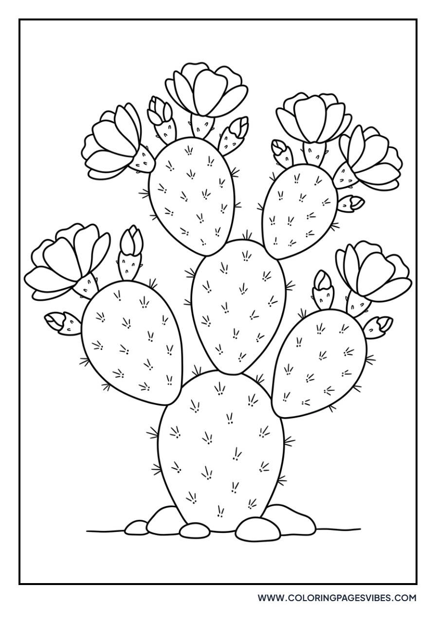 Prickly Pear Cactus Flower