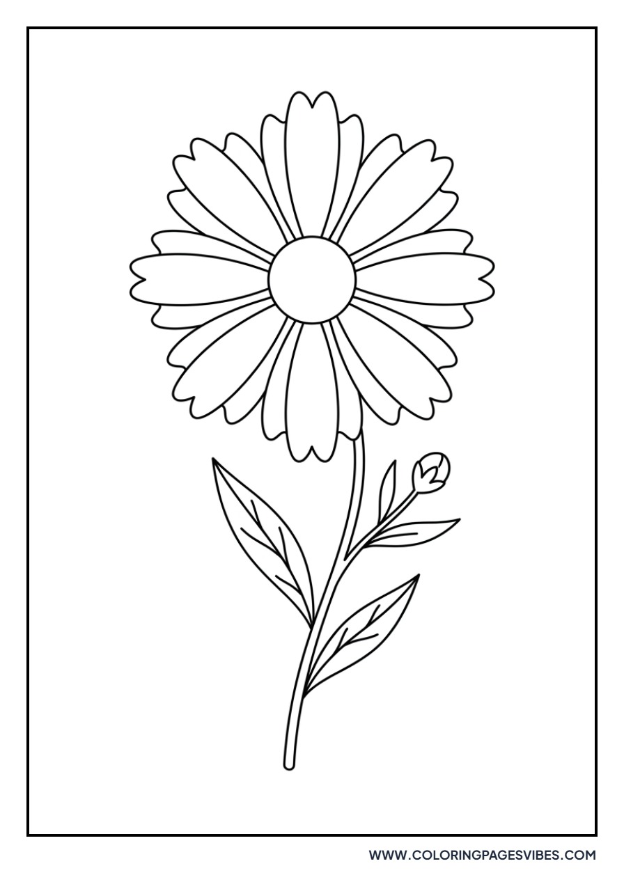 Tickseed (Coreopsis)