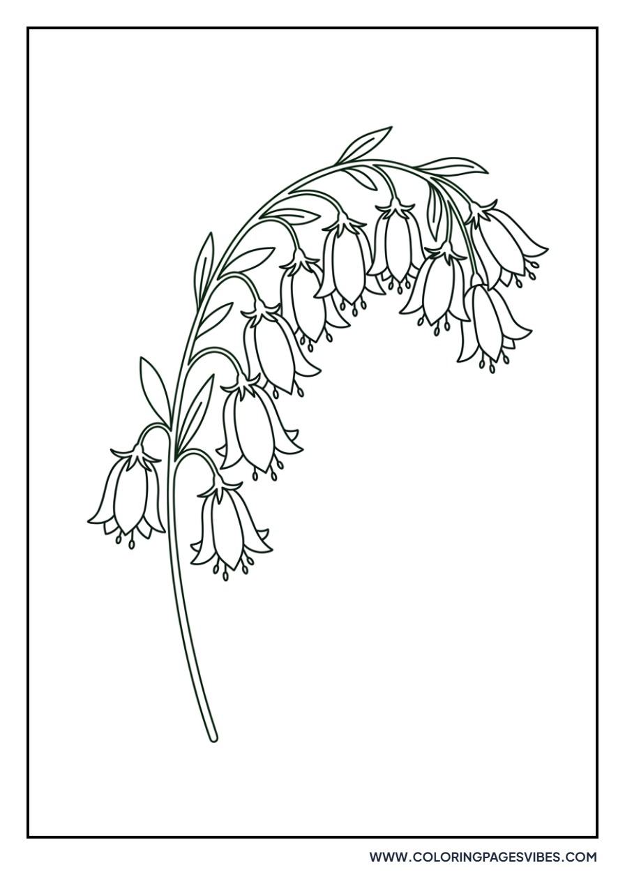 Wild Bluebell Cluster