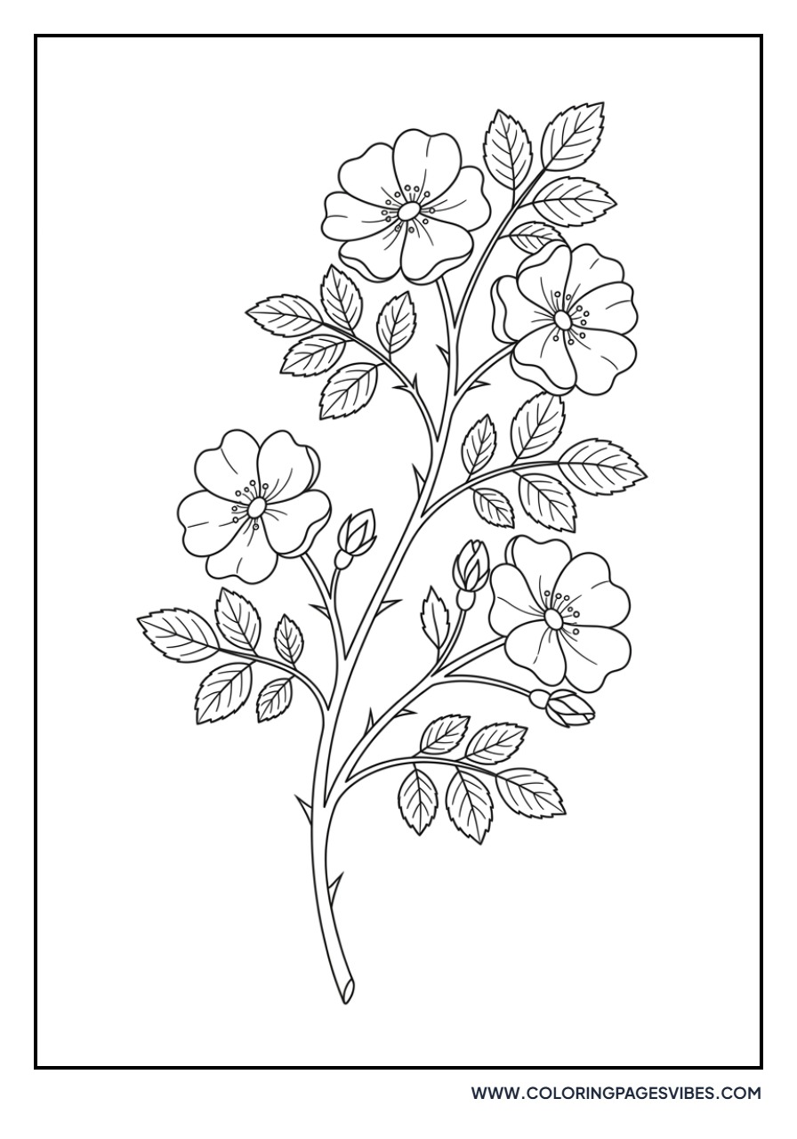 Wild Rose Bush