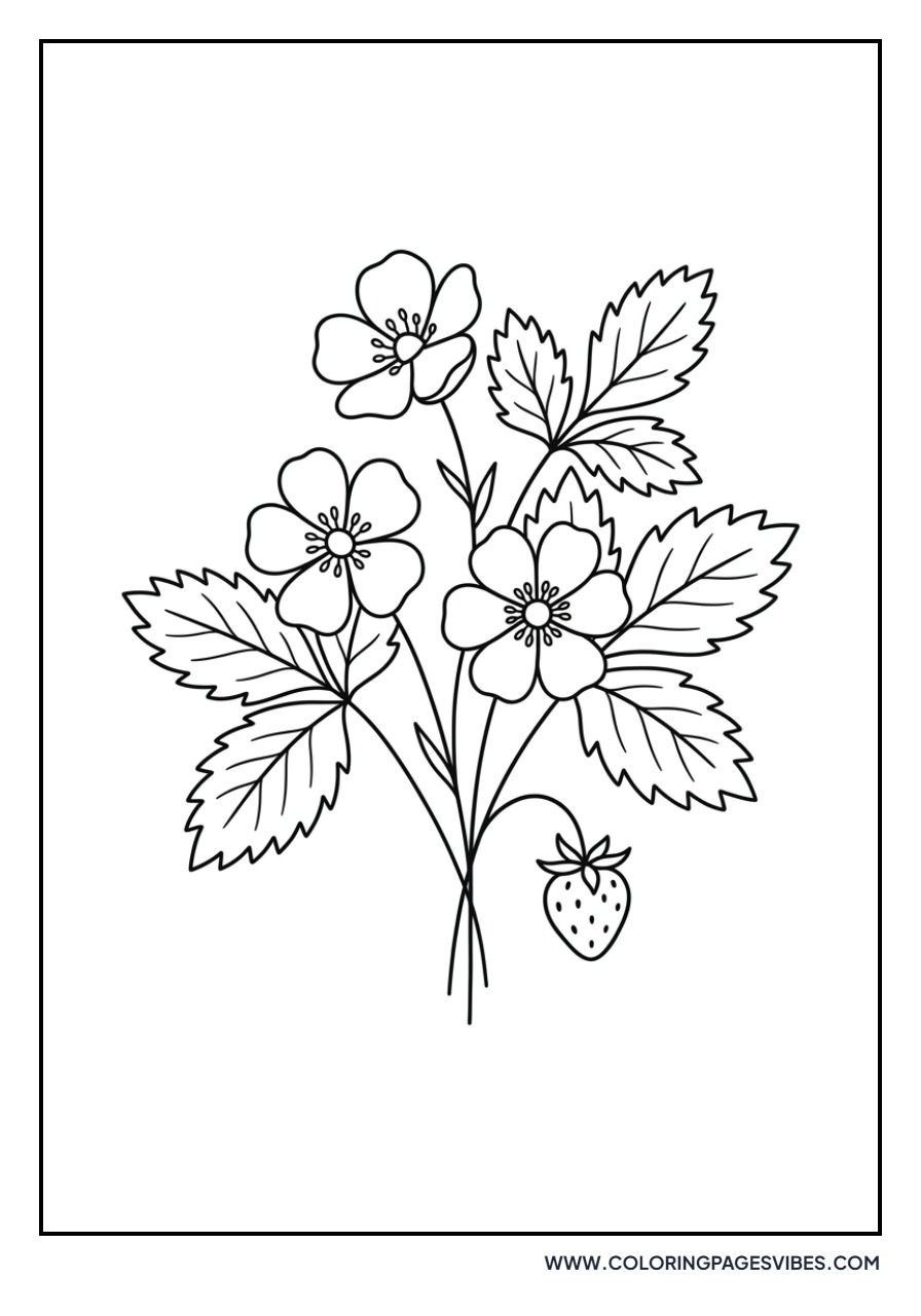 Wild Strawberry Blossom