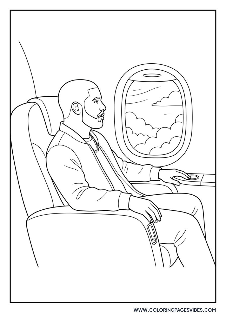 Drake in a Private Jet
