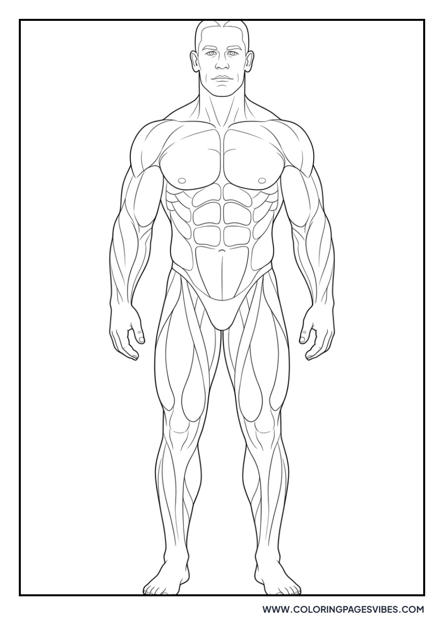 John Cena Realistic Anatomy