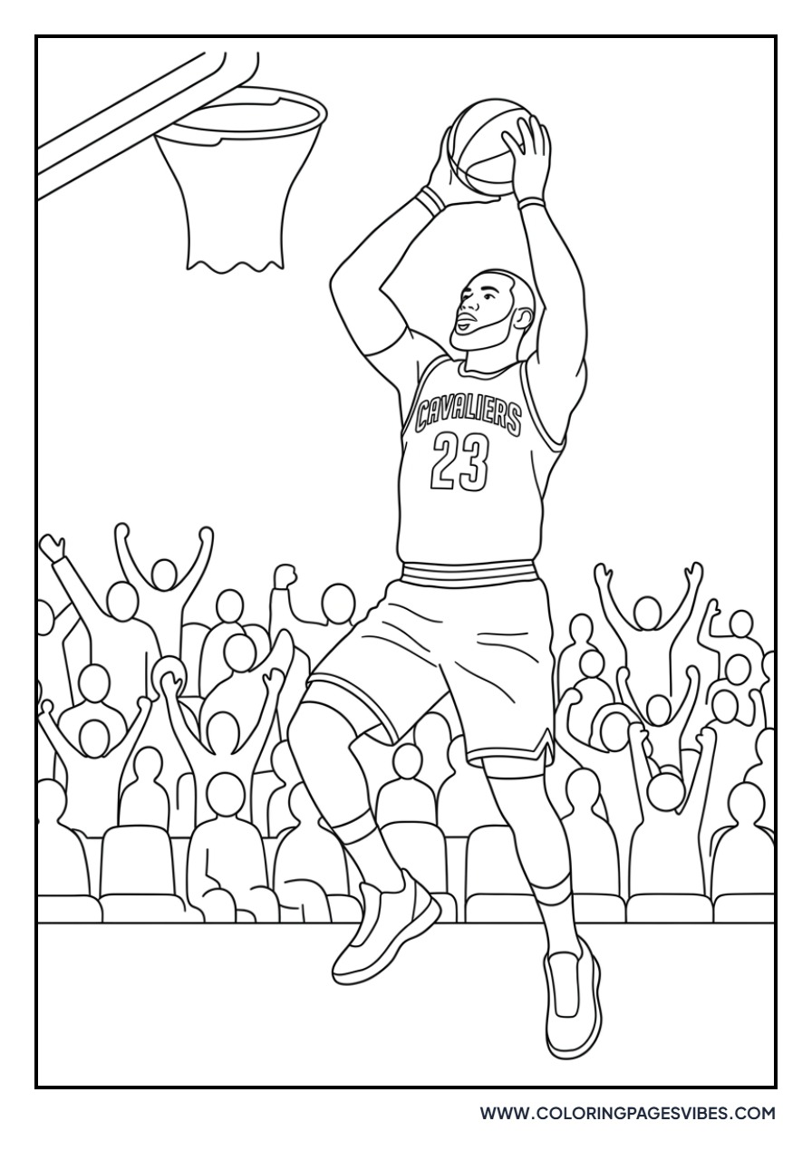 LeBron James Cleveland Cavaliers Era