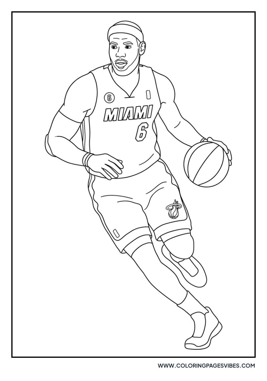 LeBron James Miami Heat Era