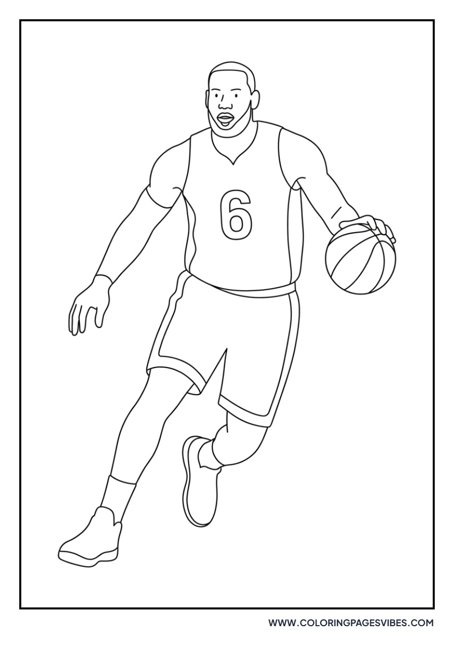 LeBron James Number 6 Jersey
