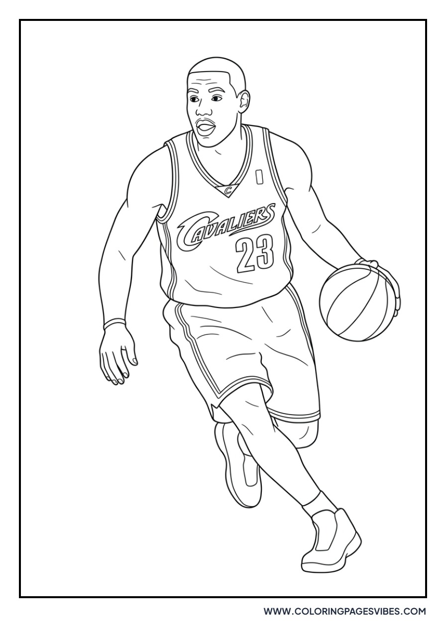 LeBron James Rookie Year