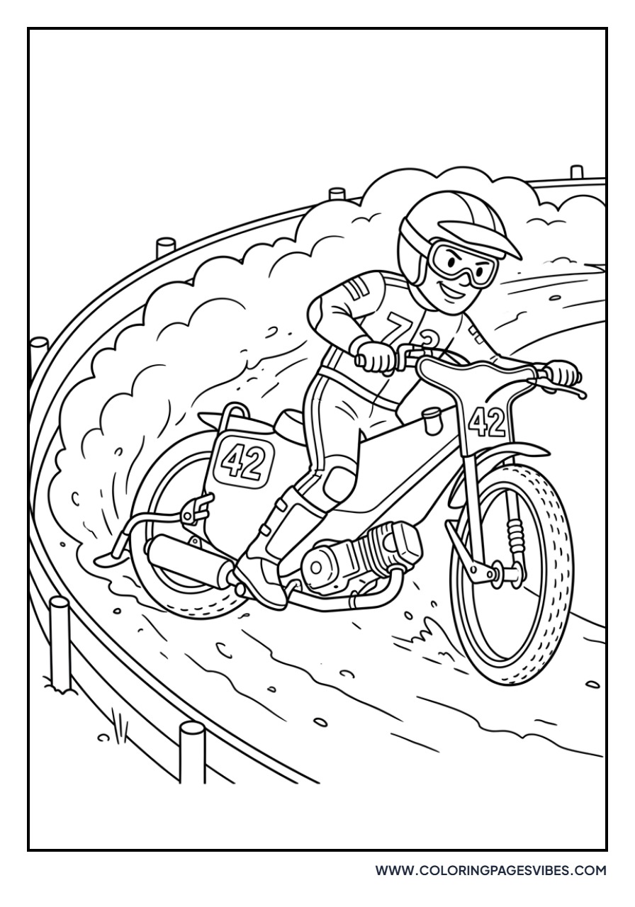 Speedway Flat Track Bike